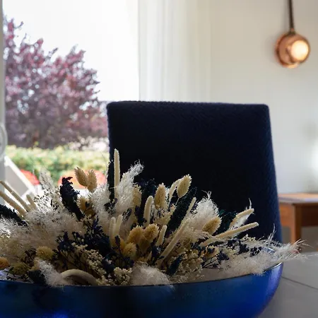 Chelona Marginata - Calme & Vue - Chelona'loc