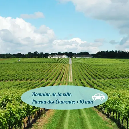 Tatil Evi Chelona Marginata - Calme, Vue Campagne & Climatisation - Chelona'loc Saint-Bonnet-sur-Gironde
